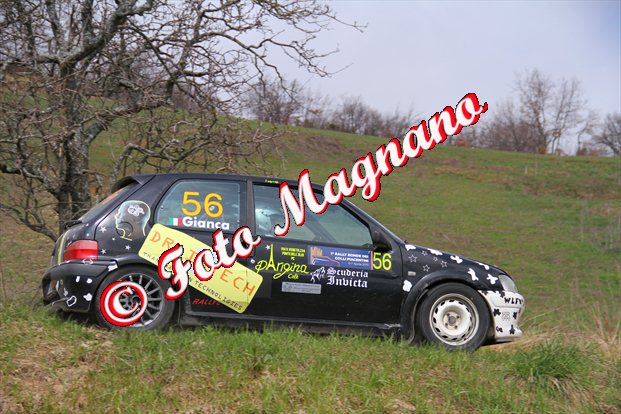 533.jpg